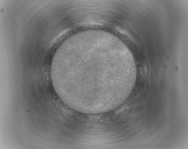 X0000074970870200609291935