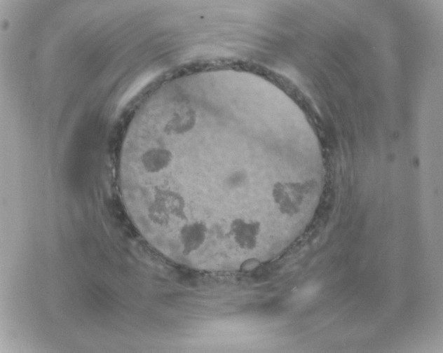 X0000074970871200609291935