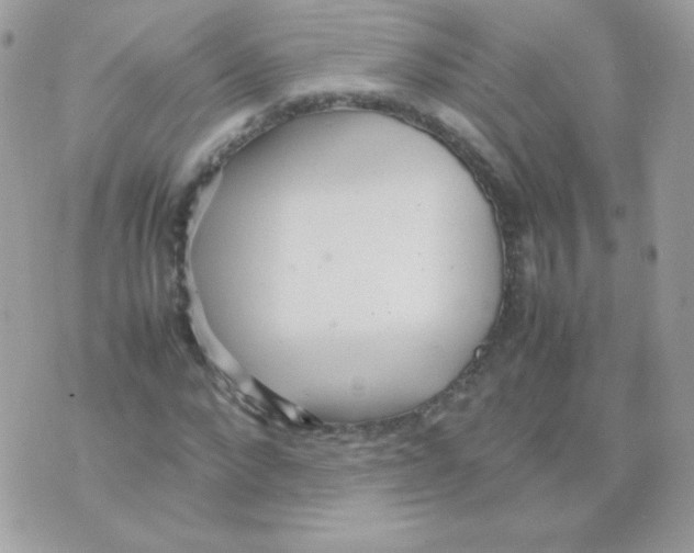 X0000074970872200609291935