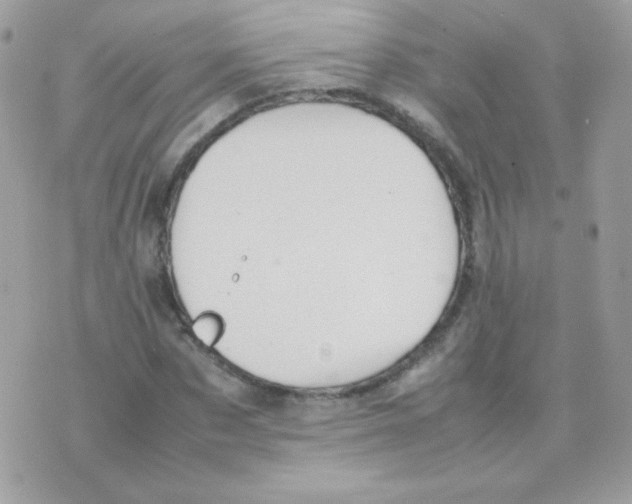 X0000074970873200609291935