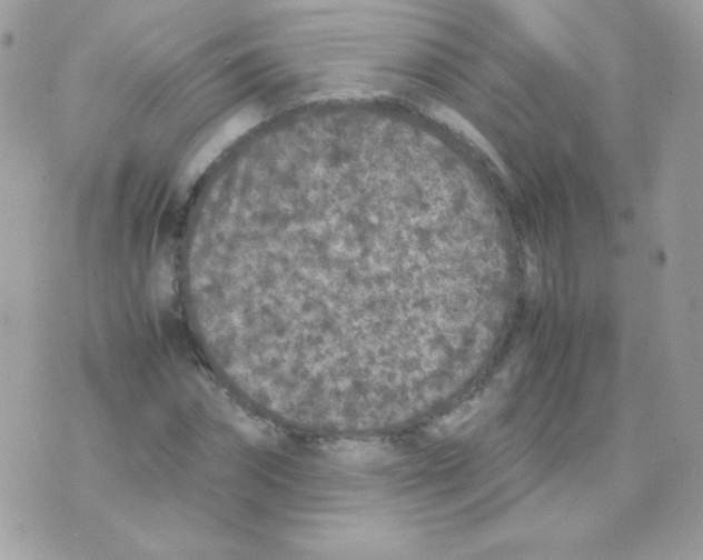 X0000074970874200609291935