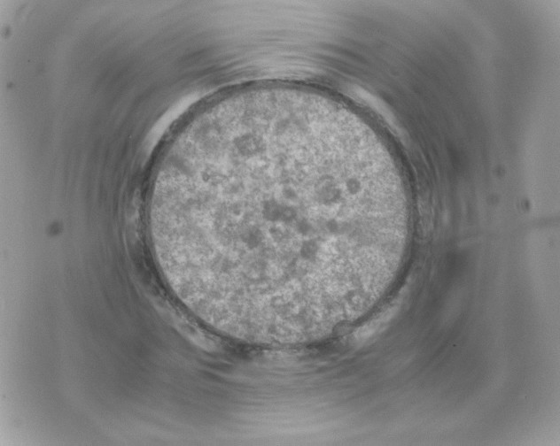 X0000074970875200609291935