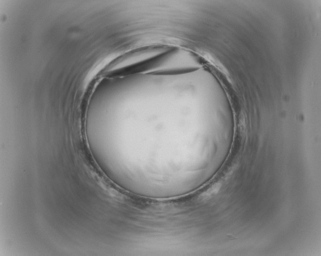 X0000074970877200609291935