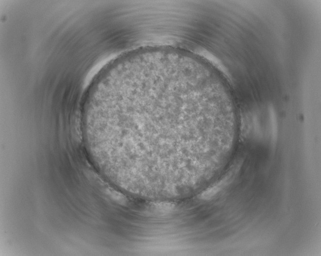 X0000074970878200609291935