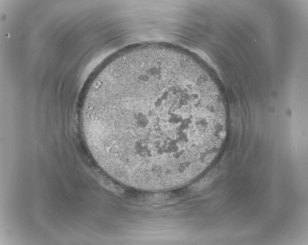 X0000074970879200609291935