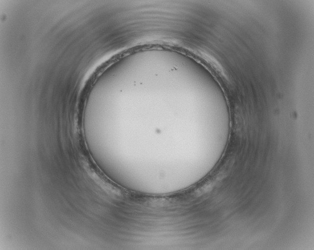 X0000074970880200609291935