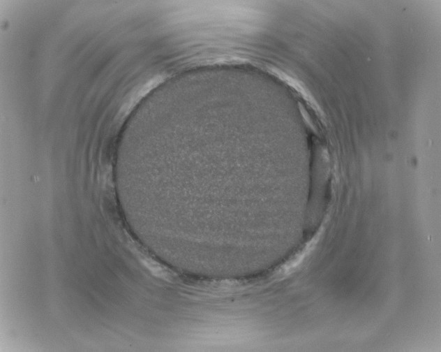 X0000074970881200609291935