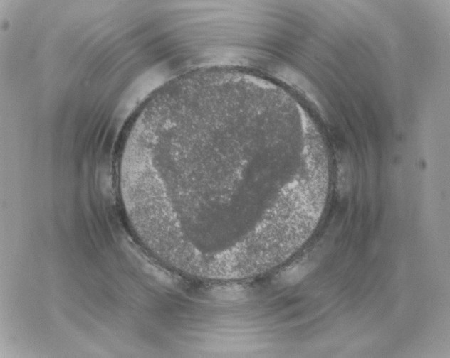 X0000074970882200609291935