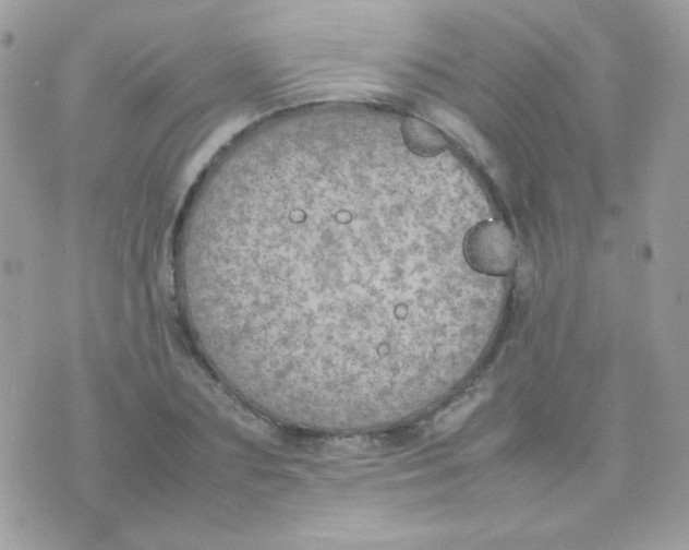 X0000074970883200609291935