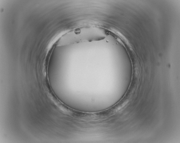 X0000074970885200609291935