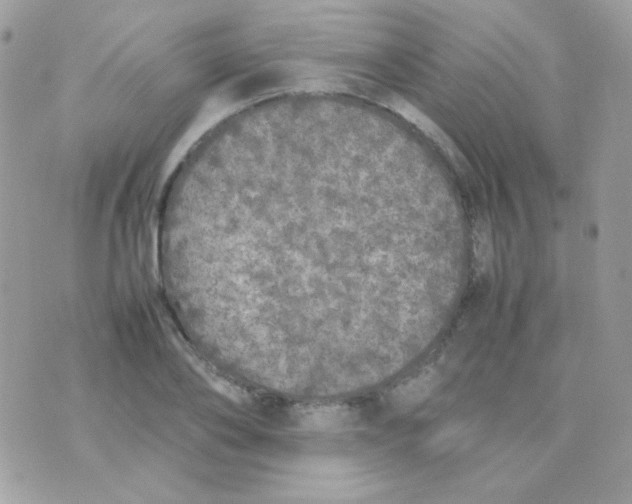 X0000074970886200609291935