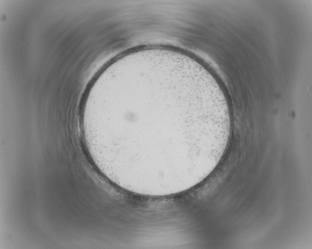 X0000074970887200609291935