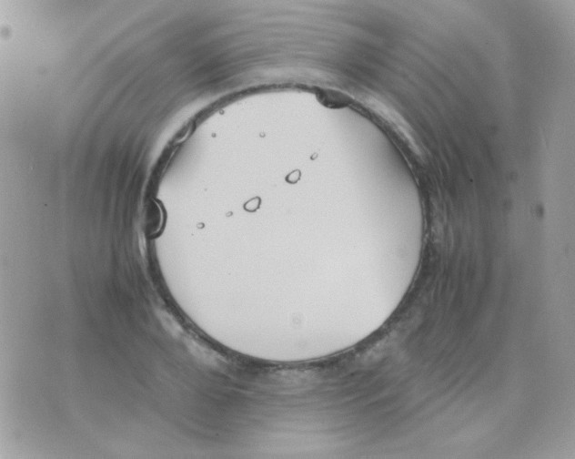 X0000074970888200609291935