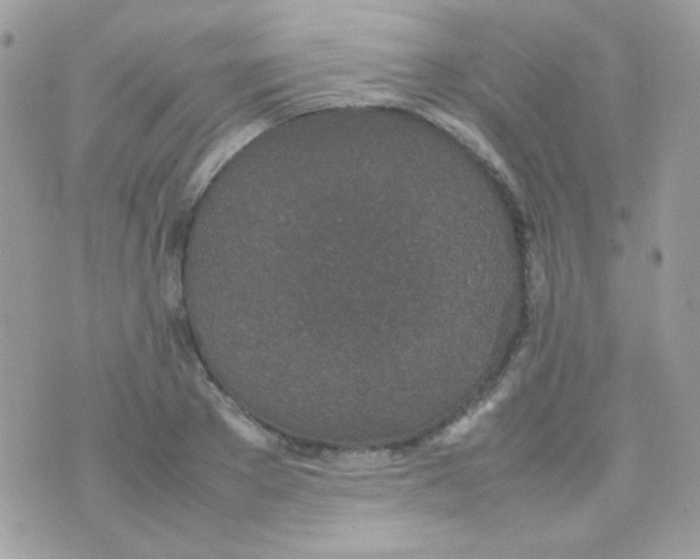 X0000074970889200609291935