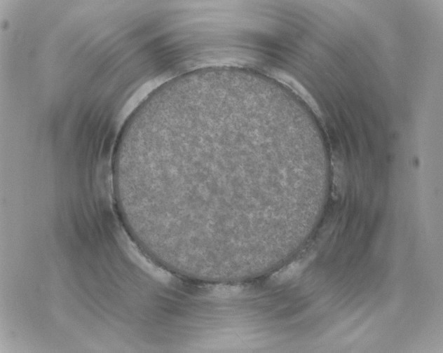 X0000074970890200609291935