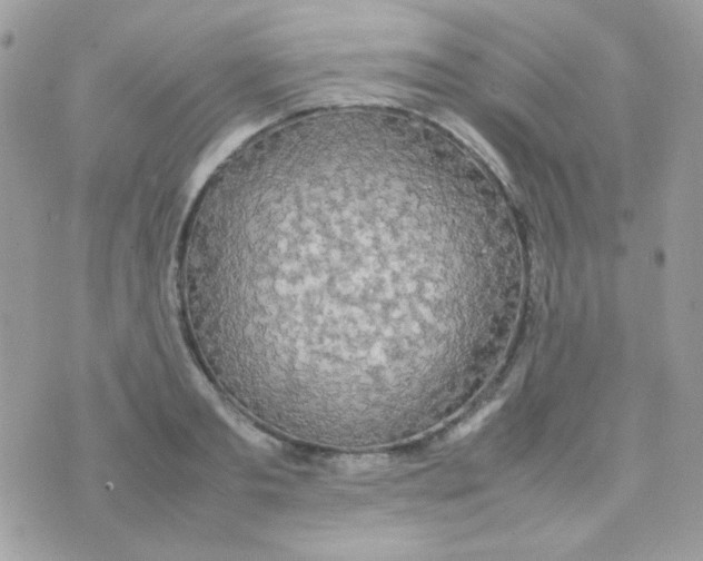 X0000074970893200609291935