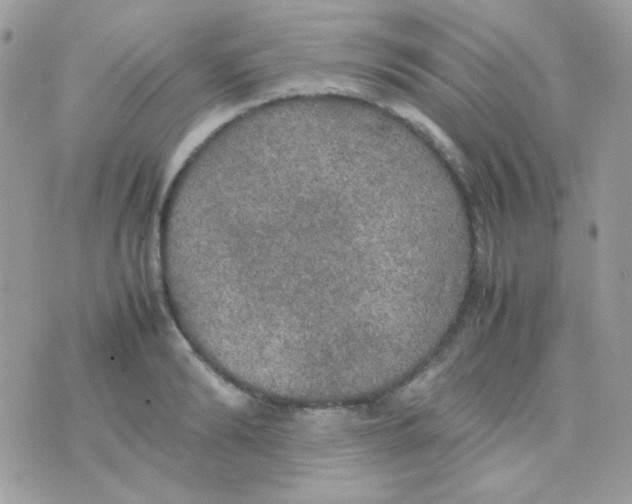 X0000074970894200609291935