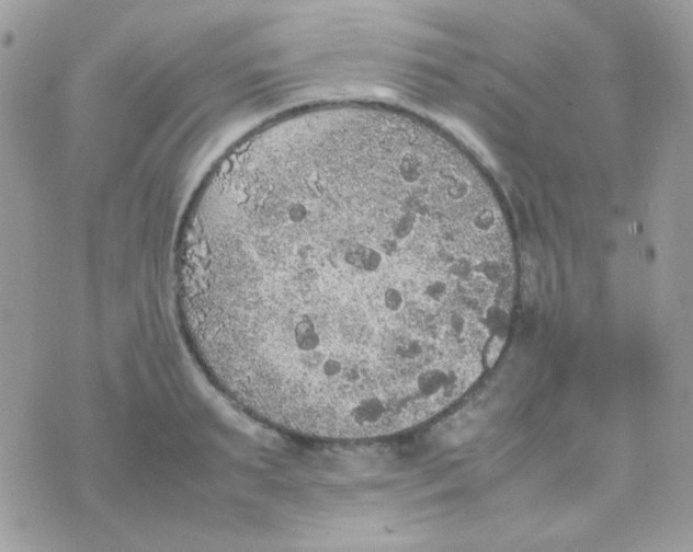 X0000074970895200609291935