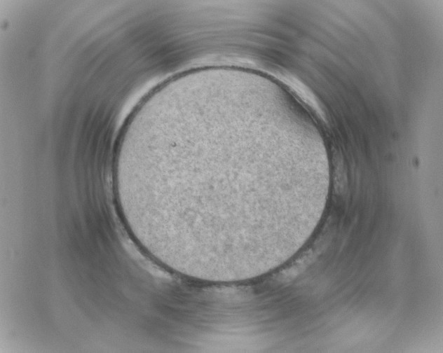 X0000074970896200609291935