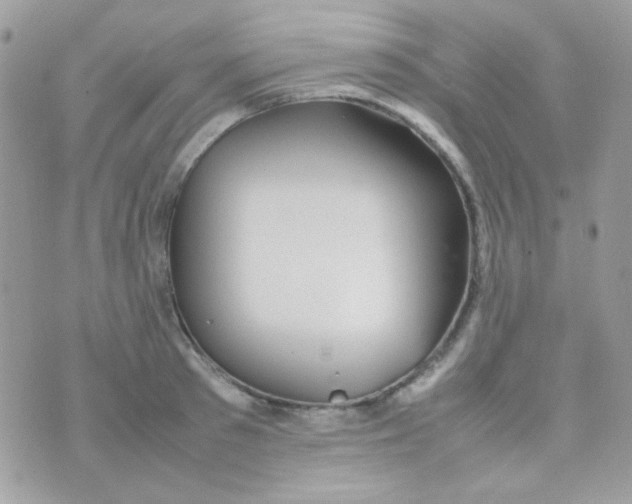 X0000074970897200609291935