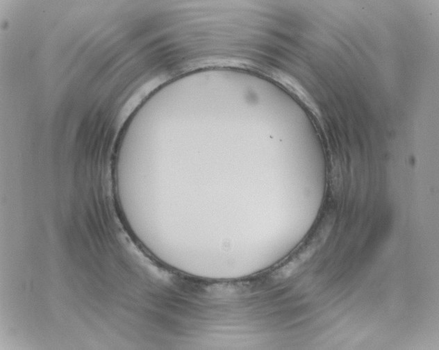 X0000074970898200609291935