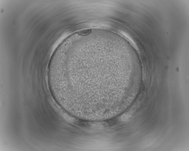 X0000074970899200609291935