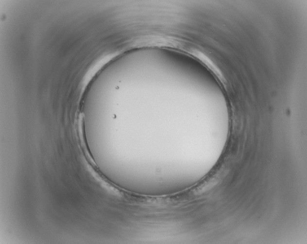 X0000074970901200609291935