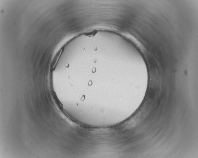 X0000074970902200609291935