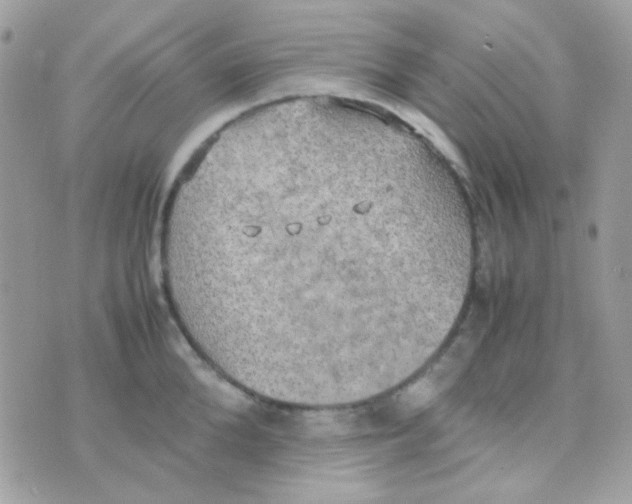 X0000074970904200609291935