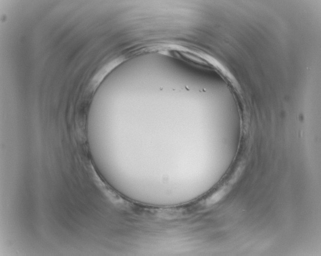 X0000074970905200609291935