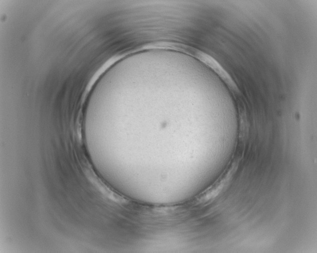 X0000074970908200609291935