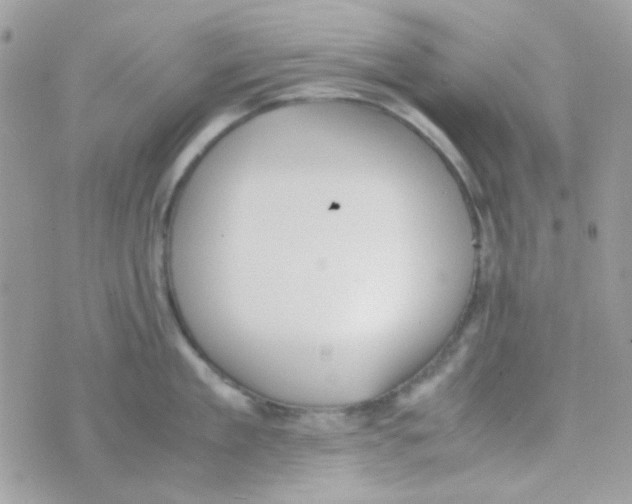 X0000074970909200609291935