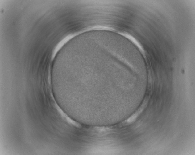 X0000074970910200609291935