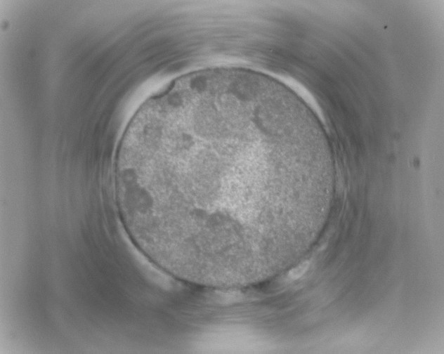 X0000074970911200609291935