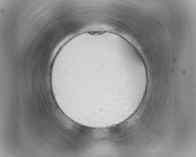 X0000074970912200609291935