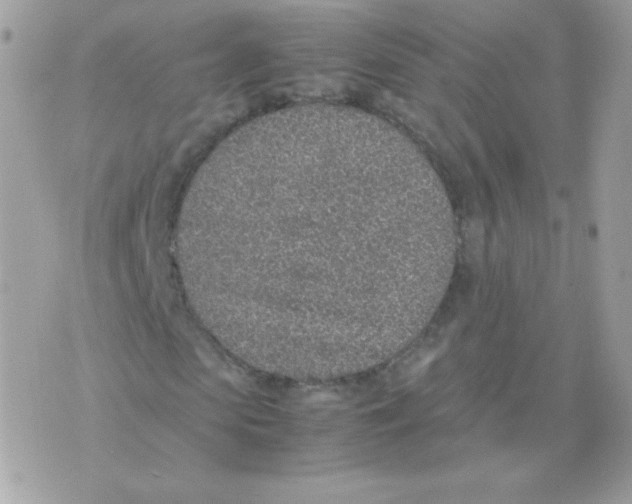 X0000074970913200609291934