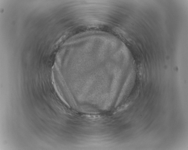 X0000074970916200609291934