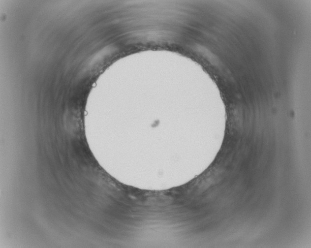 X0000074970918200609291934