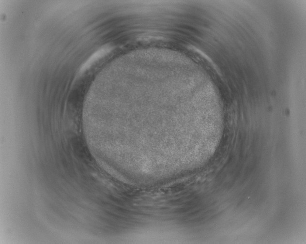 X0000074970919200609291934