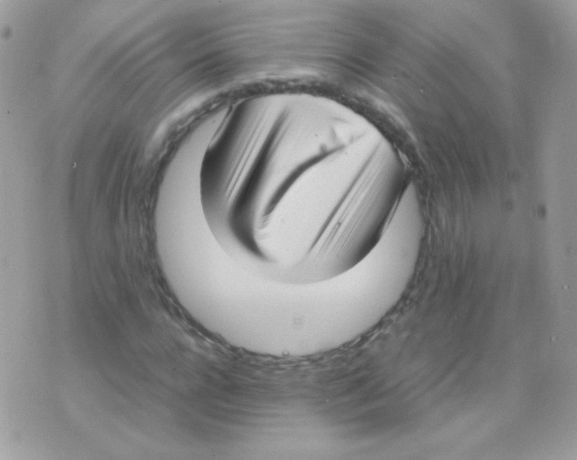 X0000074970920200609291934