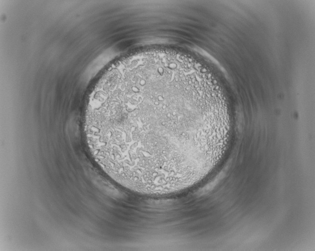 X0000074970921200609291934