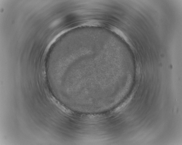 X0000074970923200609291934