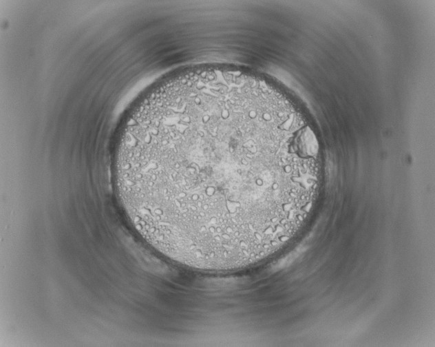 X0000074970925200609291934