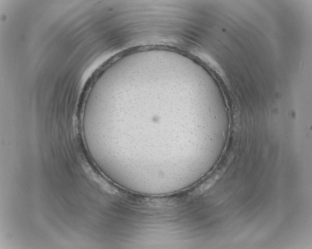 X0000074970928200609291934