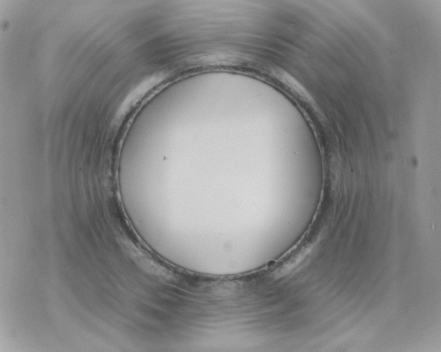 X0000074970930200609291934