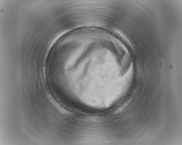 X0000074970932200609291934