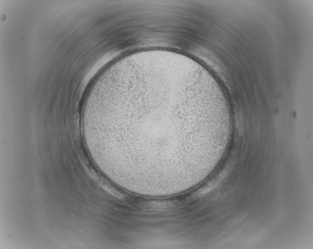 X0000074970933200609291934