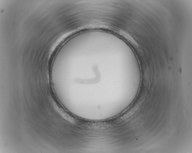 X0000074970934200609291934