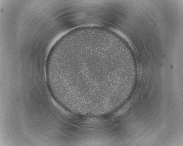 X0000074970935200609291934