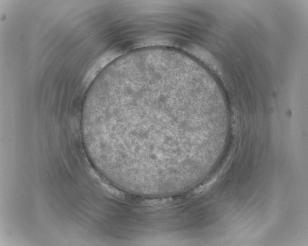 X0000074970937200609291934